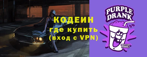 молекула духа Каменка