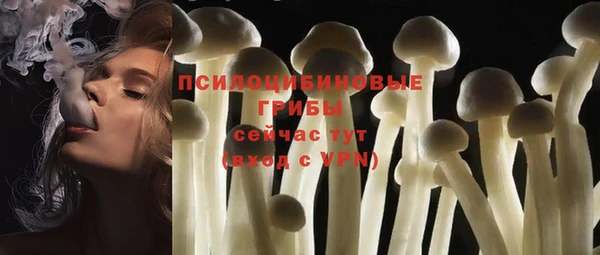 мяу мяу мука Каменск-Шахтинский