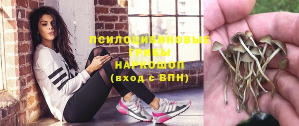 молекула духа Каменка