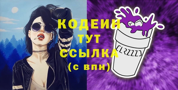 молекула духа Каменка