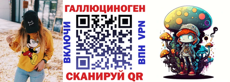 Галлюциногенные грибы Psilocybe  как найти   Барнаул 