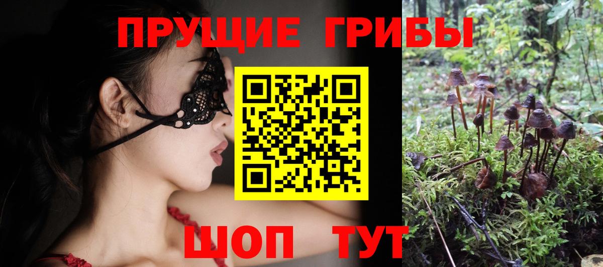 Псилоцибиновые грибы мухоморы  Галлюциногенные грибы Psilocybine cubensis  Барнаул 